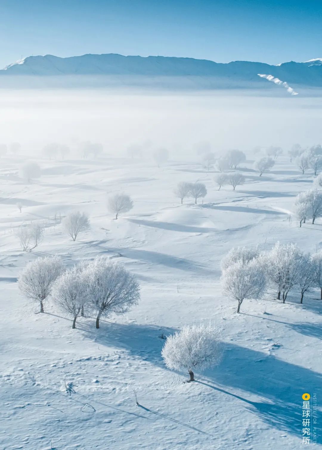 什么是魏晋风流,魏晋南北朝简介图
