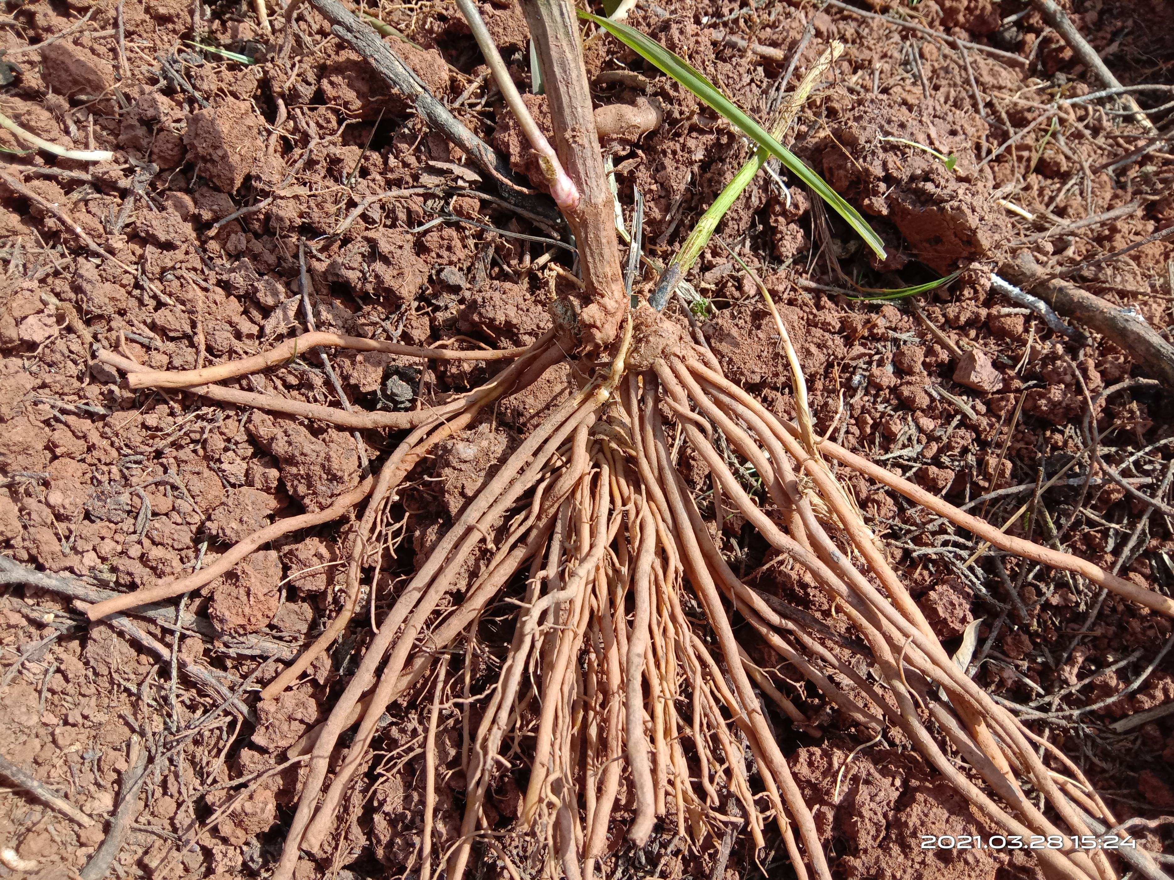 80岁老人脚风湿用什么泡脚,80岁老人泡脚的配方