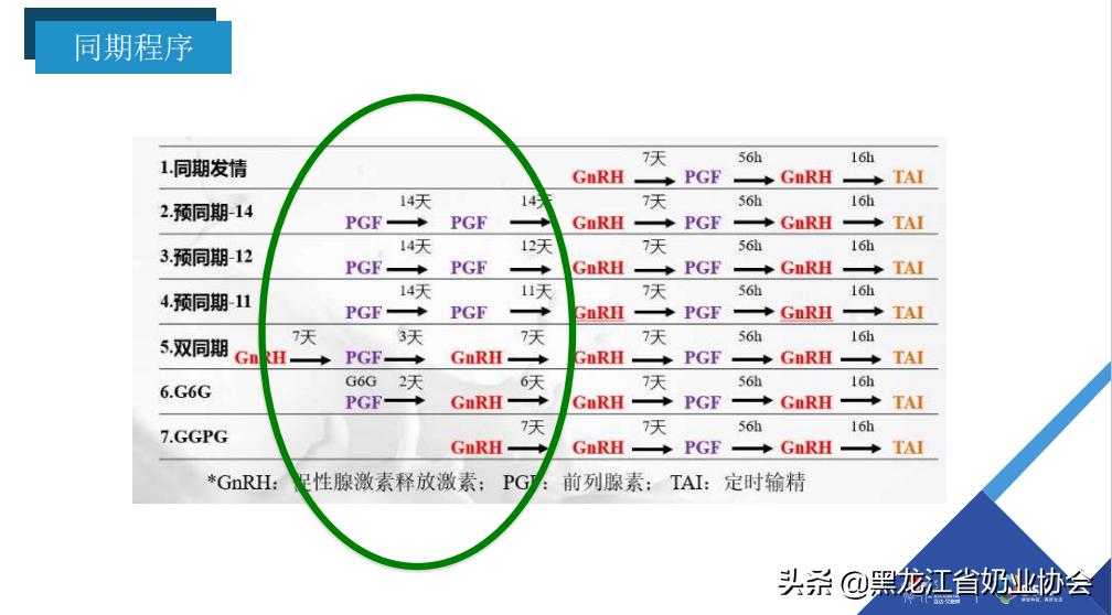 奶牛受孕怎么查,如何鉴定奶牛的好坏