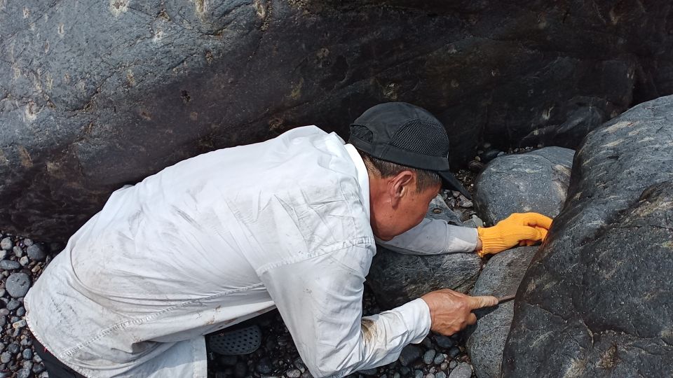 浙江境内蓝色大海,藏在这个与福建交界的小县城,不用坐船就能到