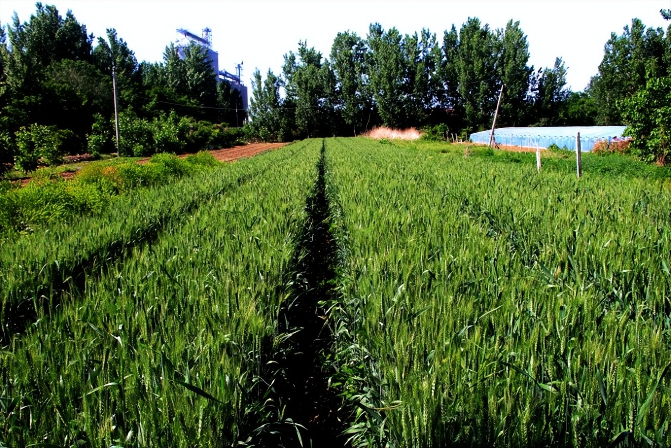 浣撴鍓嶄竴澶╁皬閰屽彲浠ュ悧,浣撴鍠濋厭