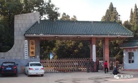 靴城情怀｜回忆20年前的园林局演讲会（6）