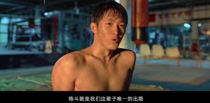 王宝强深度解析,王宝强成功的奥秘