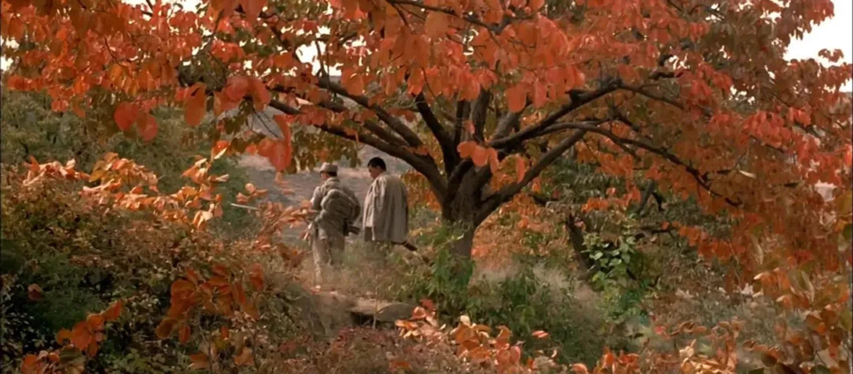 高分电影9分以上战争,史上不容错过的十部战争题材电影