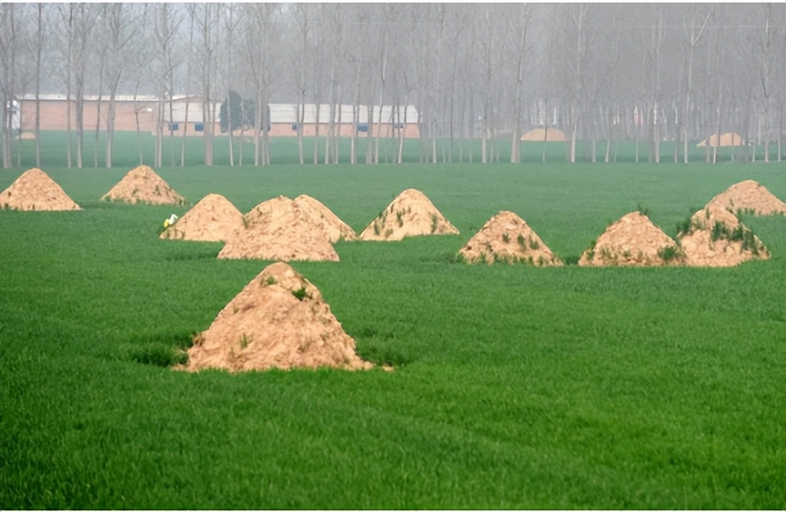 农村丧葬改革平坟是真的吗,国务院下达文件要求全国平坟吗