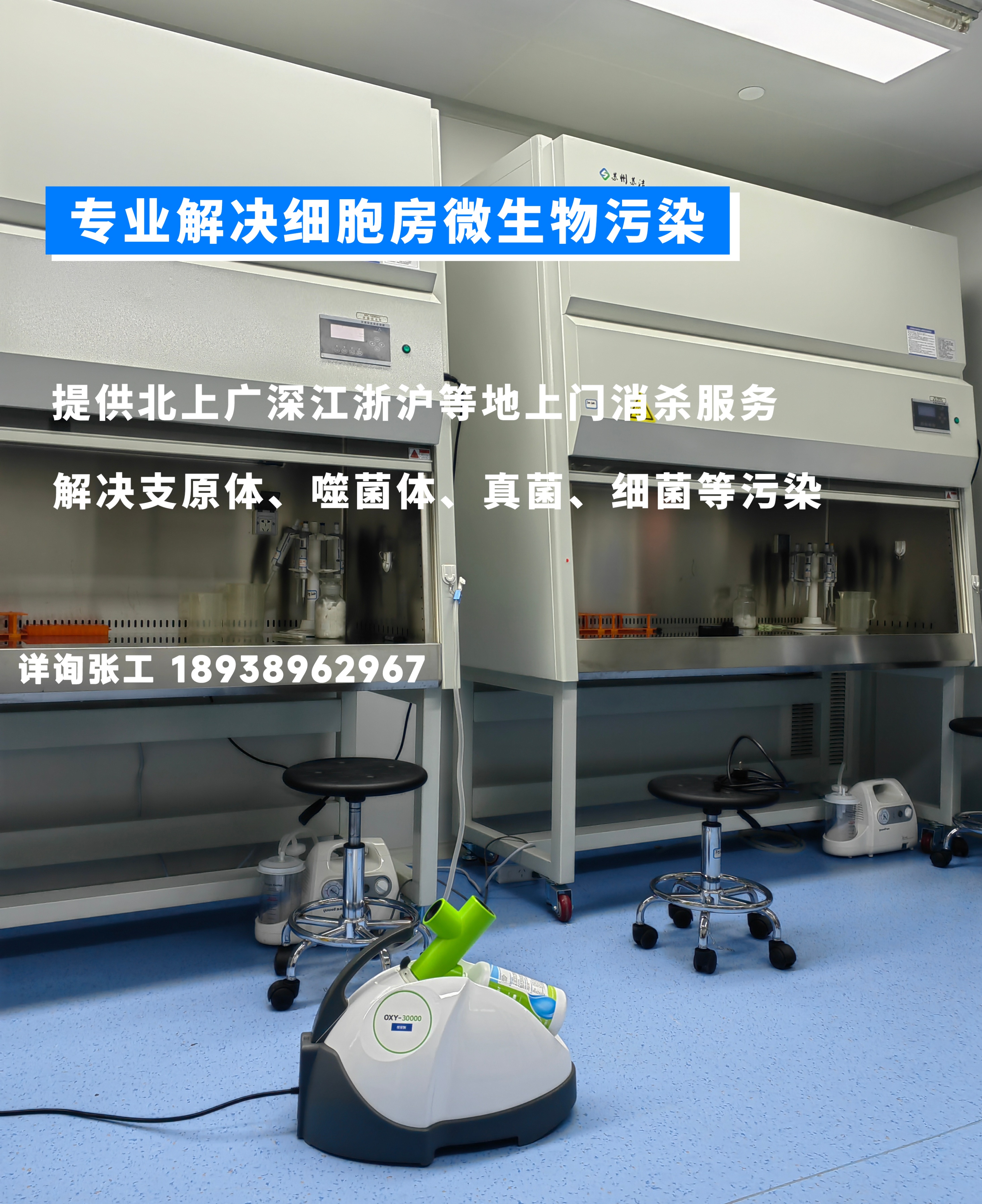 细胞中常见的细菌污染,细胞培养中支原体污染的解决方案