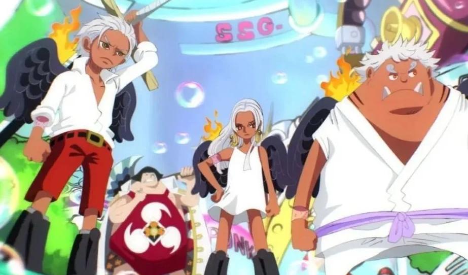 海贼王炽天使为什么打路飞,海贼王如何评价黑炭