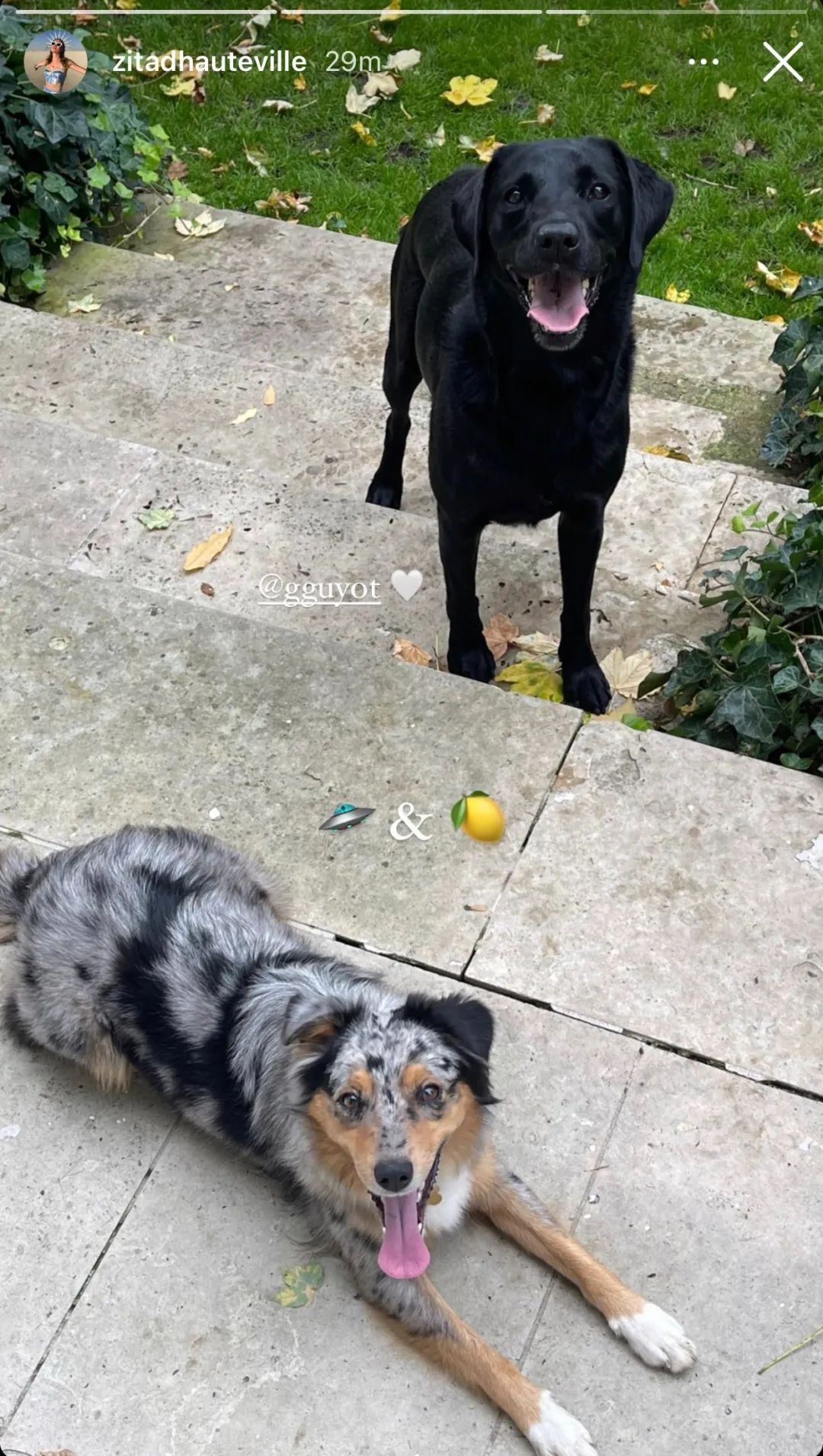 顶豪找贵族，LV家小公子的女友原来是伯爵之后…