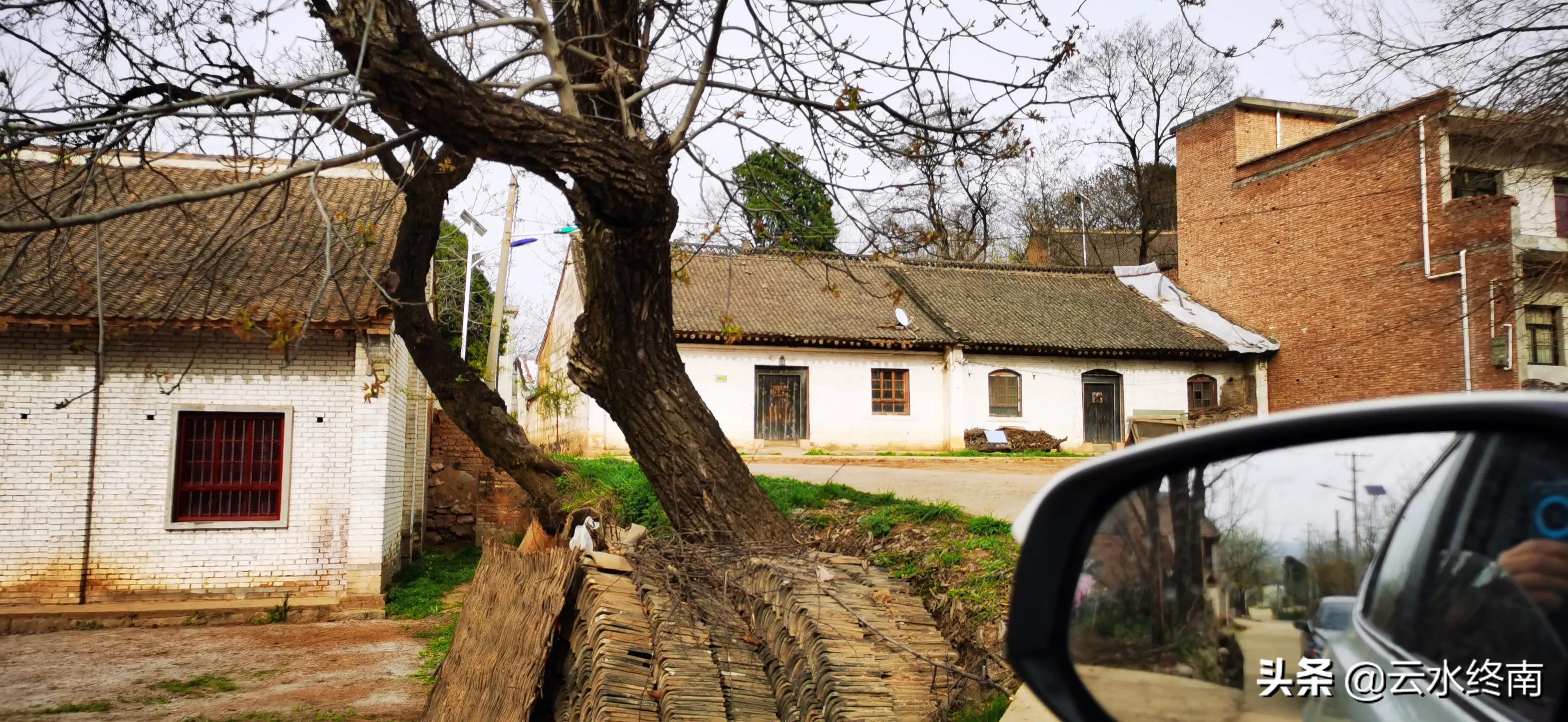 野逛桐花沟，我想欺骗一个老汉却被识破，不料却发现了一个峪口