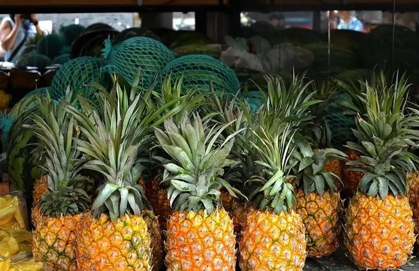 买菠萝买长买短,买菠萝大的好还是小的好