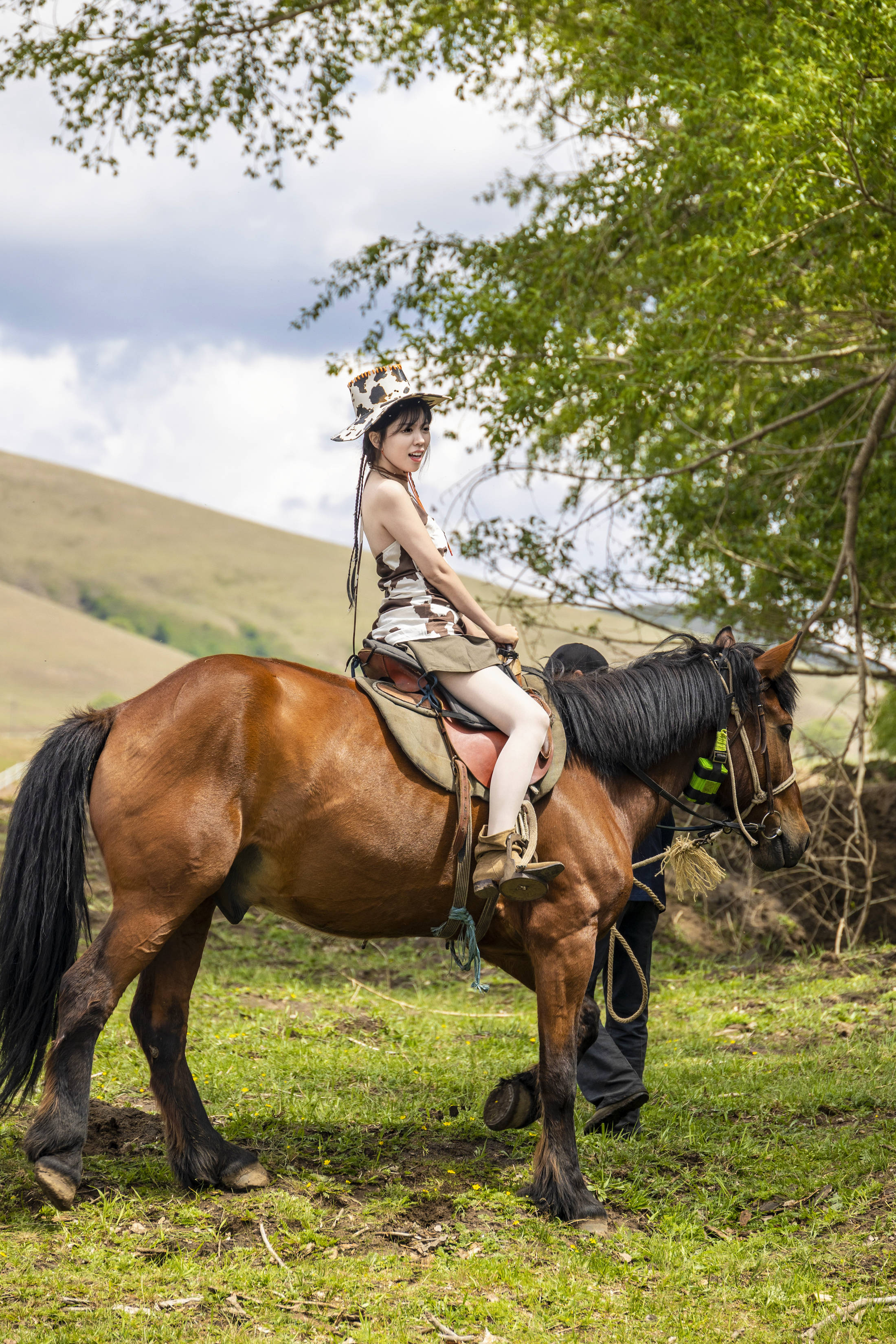 丰宁坝上草原的夏天,丰宁坝上草原夏天景色