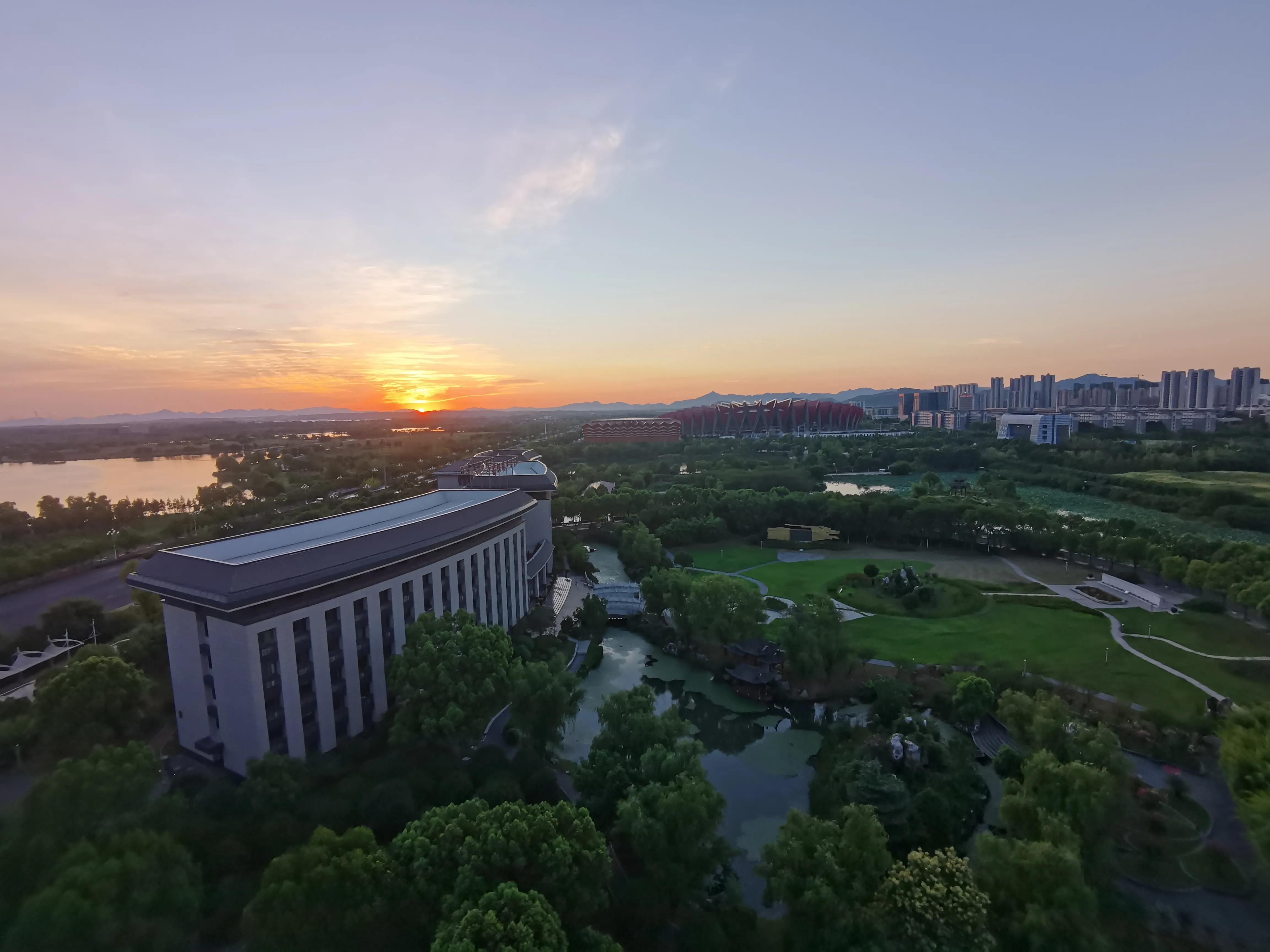 又见荷花香,池塘荷花仍飘香