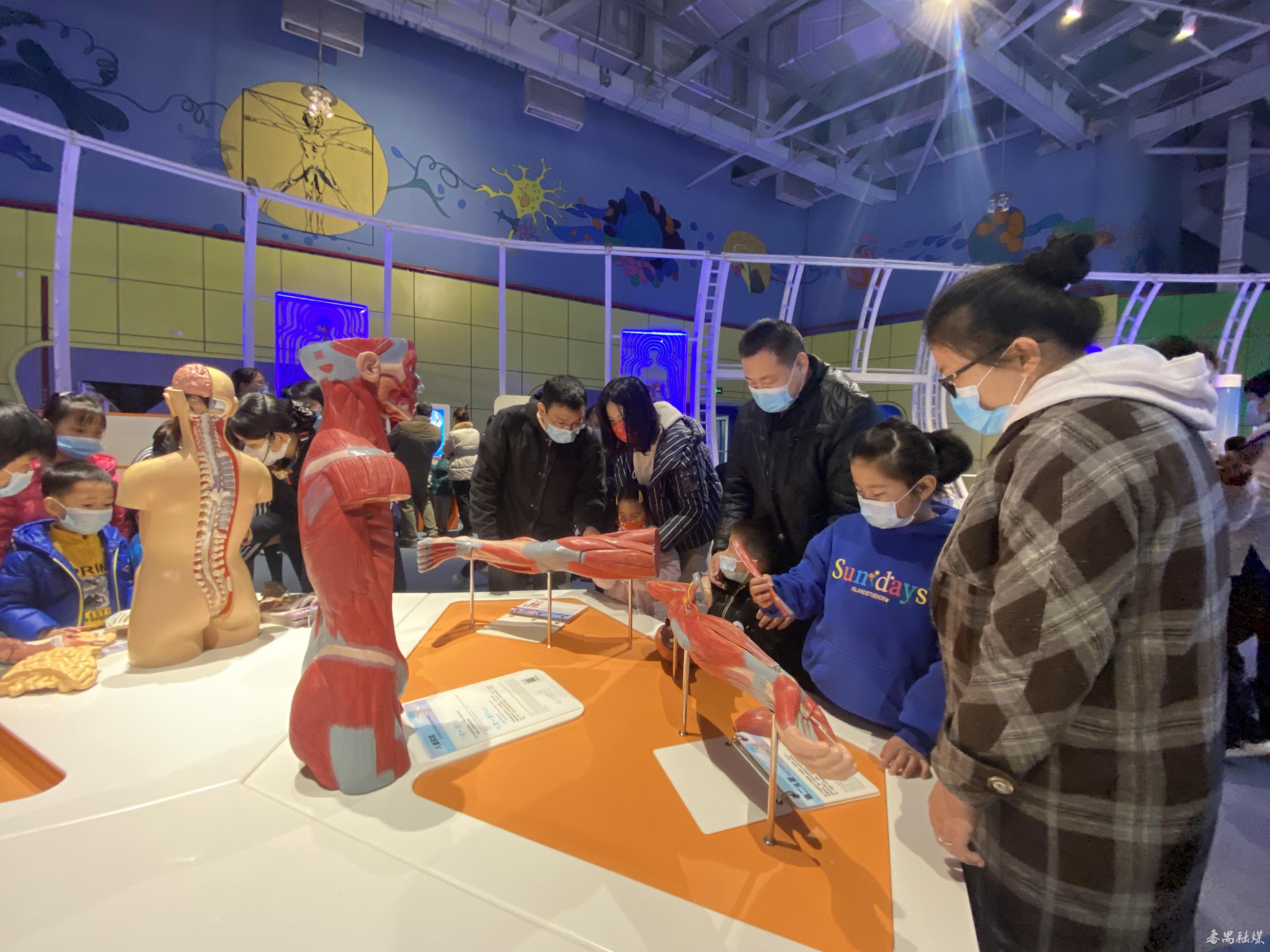 带你打卡“禺教于乐·趣味研学游”线路,在趣玩中感受大自然和科学魅力