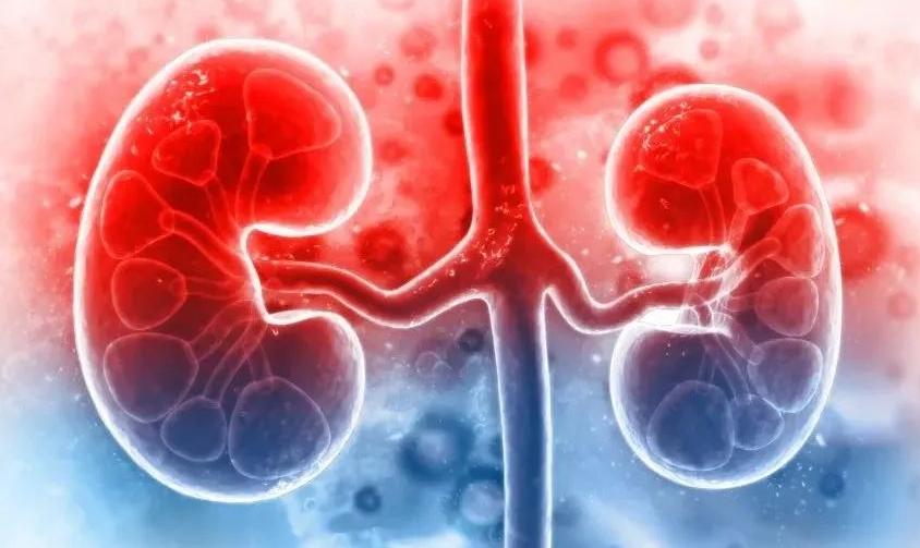 过敏性紫癜中药调理反而更严重了,过敏性紫癜中医吃什么