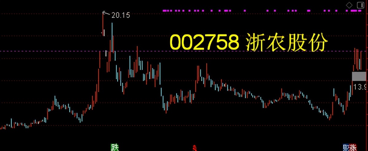 双成药业同板块股票,双成制药股票