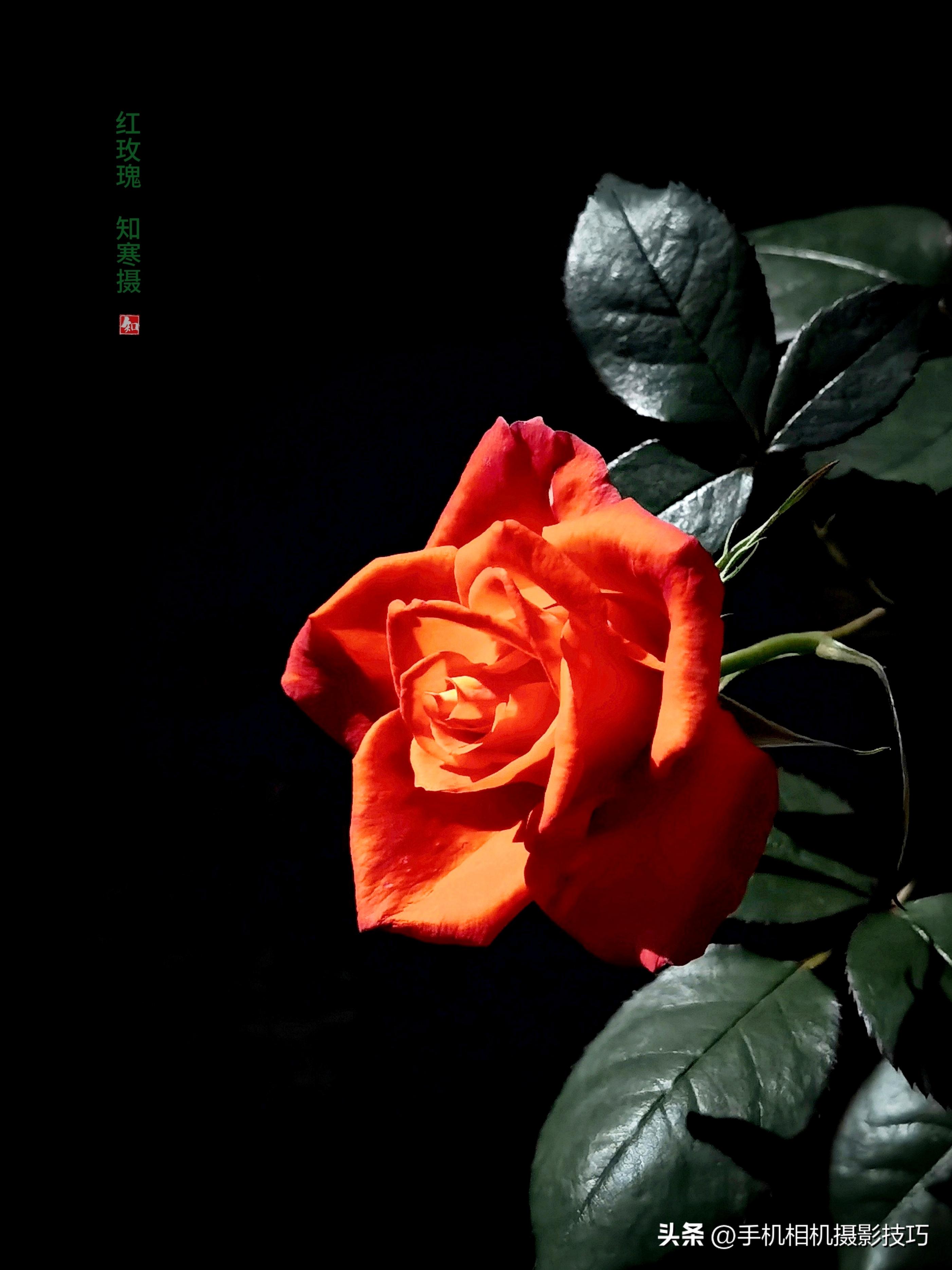 手机拍照避免照片模糊必学技巧,华为手机拍出的照片模糊怎么回事