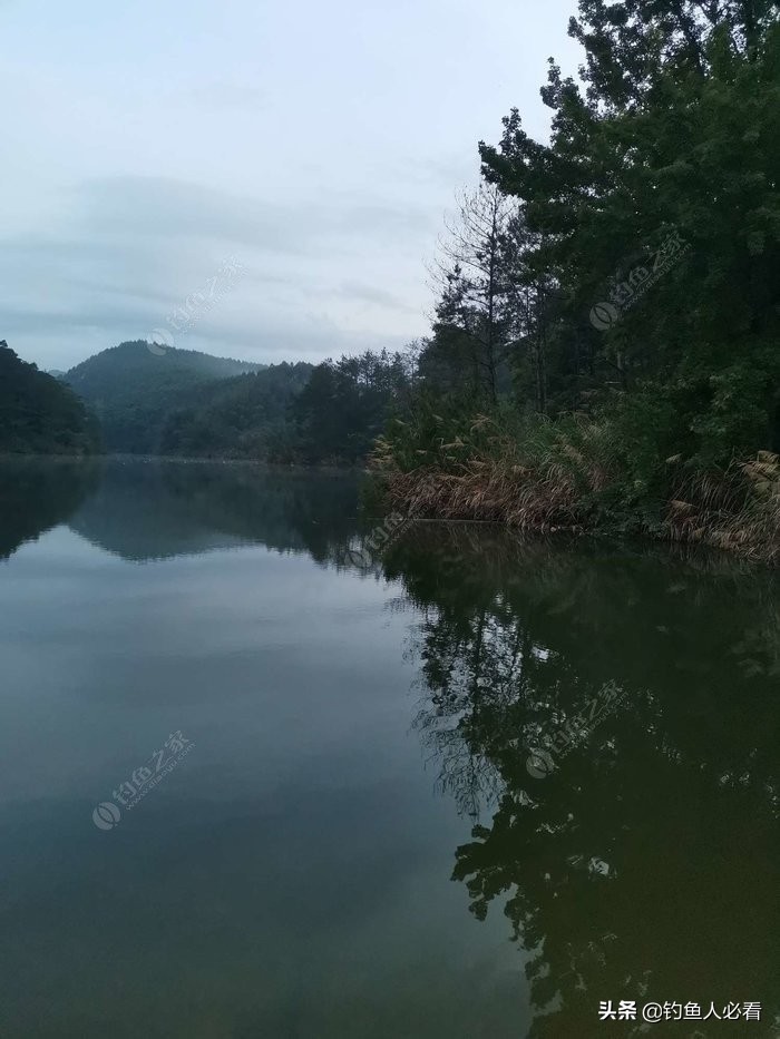 趁休假再来水库，终获大鱼一枚