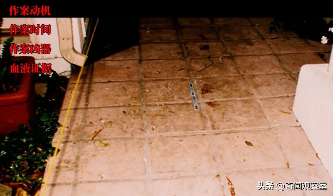 辛普森案真相解析,辛普森案真相解密