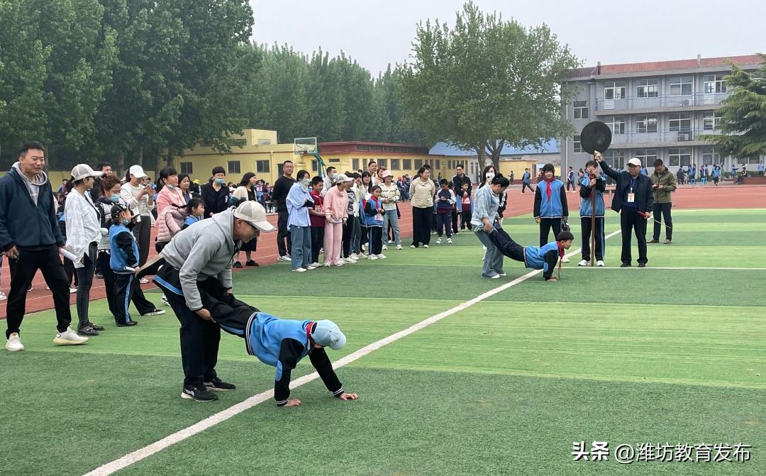 潍坊校园新闻周播报,最新新闻周播报