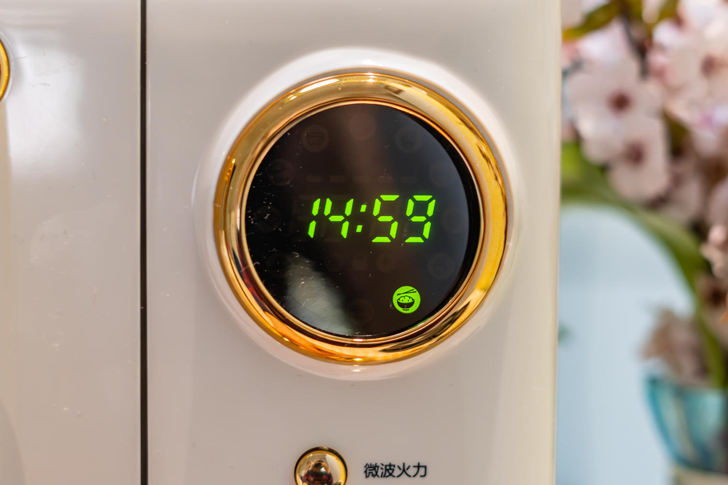 大宇微波炉微烤一体,微烤一体微波炉专用烤盘