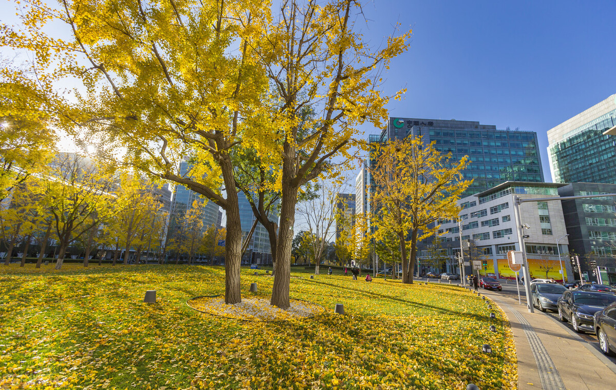 憋尿会引起前列腺炎能根治吗,前列腺炎一憋尿就疼