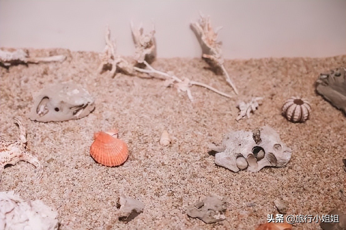 夏日海边微醺氛围感,滨城风光秀丽浪漫气息爆表