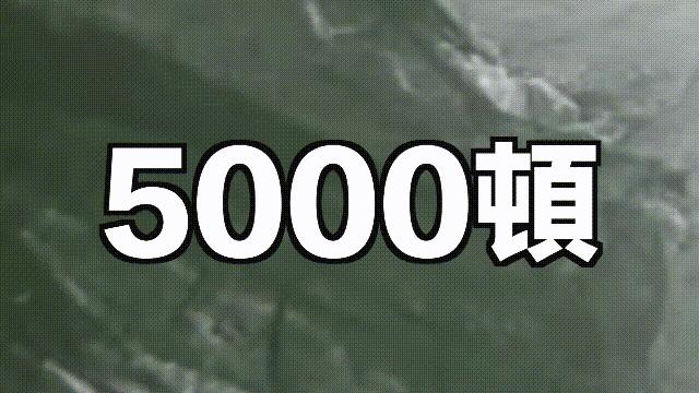 目前野生大黄鱼为什么这么贵,大黄鱼最贵价格多少钱一斤
