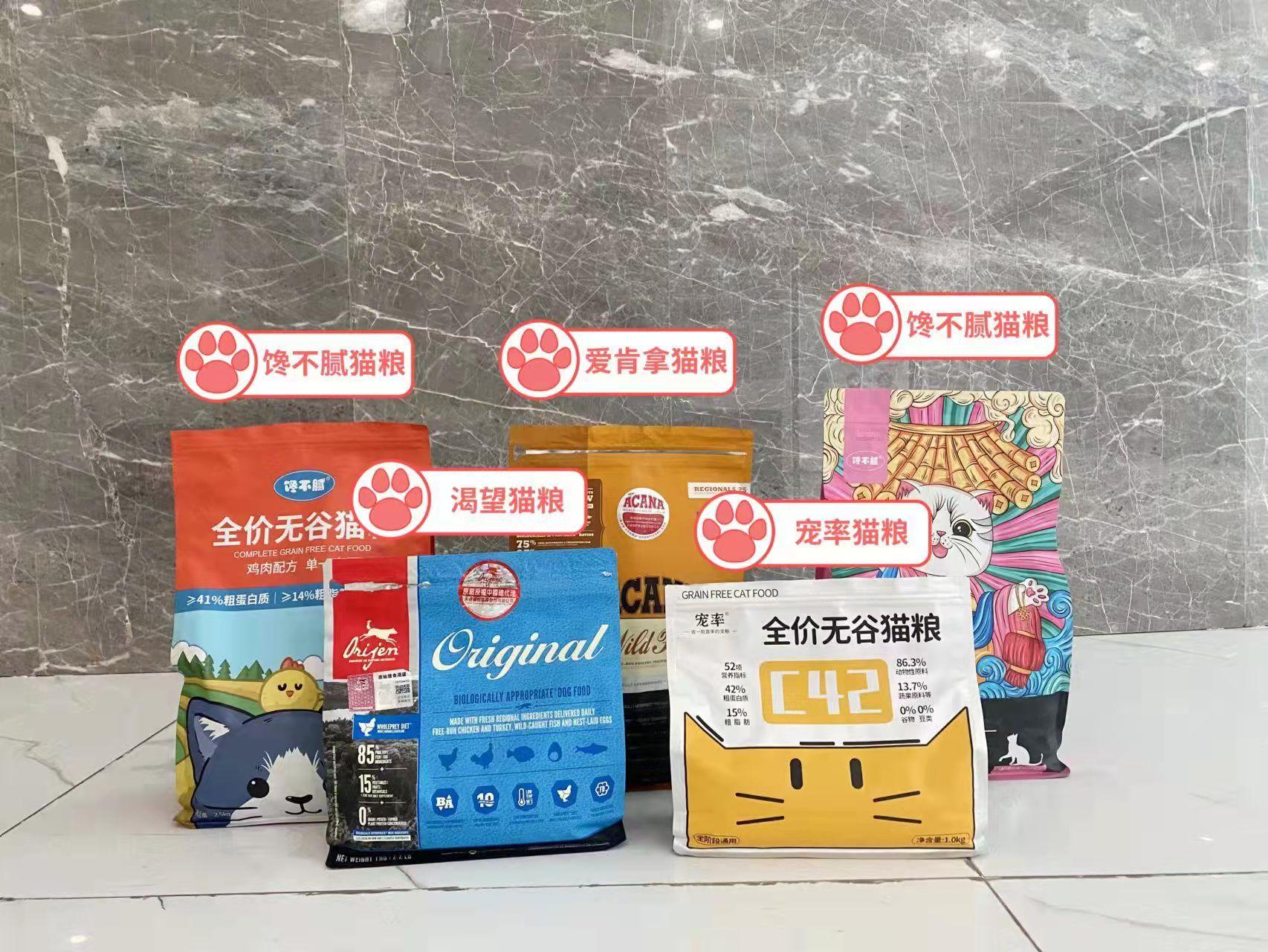 田园猫哪种猫比较好养活,中华田园猫宜养的10种猫