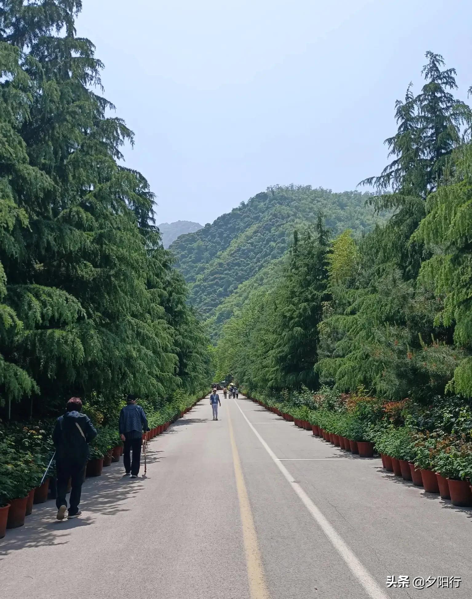 金龙峡大峡谷一日游攻略,金龙峡免费徒步