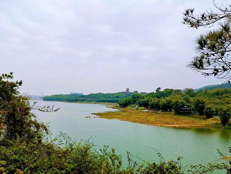 广州出发-中山2天游，打卡银坑逍遥谷+*钟金**湖公园+采摘荔枝