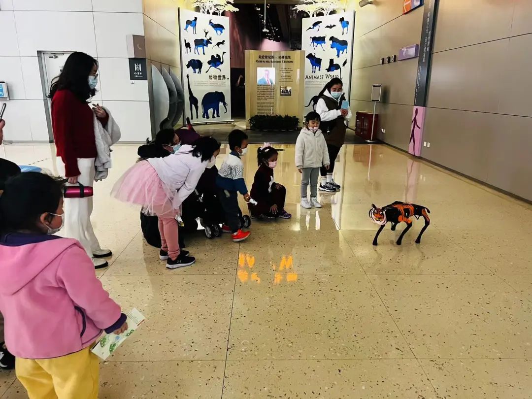 机器虎、标本虎、银幕里的虎…虎年新春,去上海科技馆找老虎吧