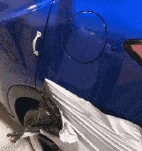 魔性猫咪动图,猫咪撒娇搞笑动图