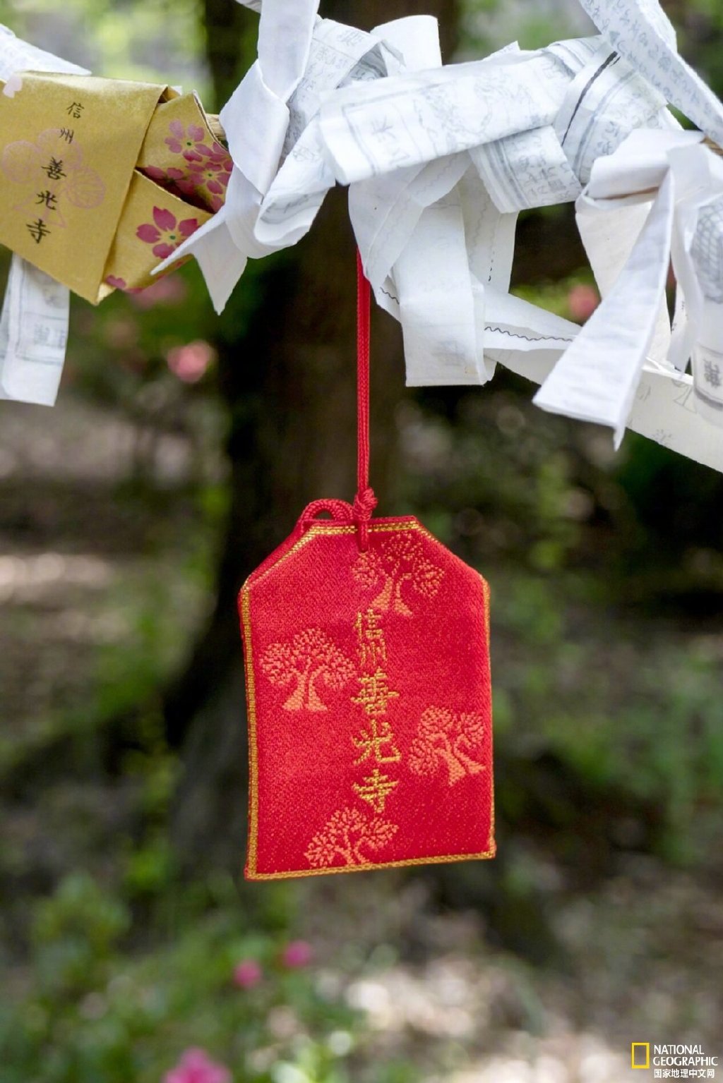 世界上最简单的护身符图片,值得收藏的护身符