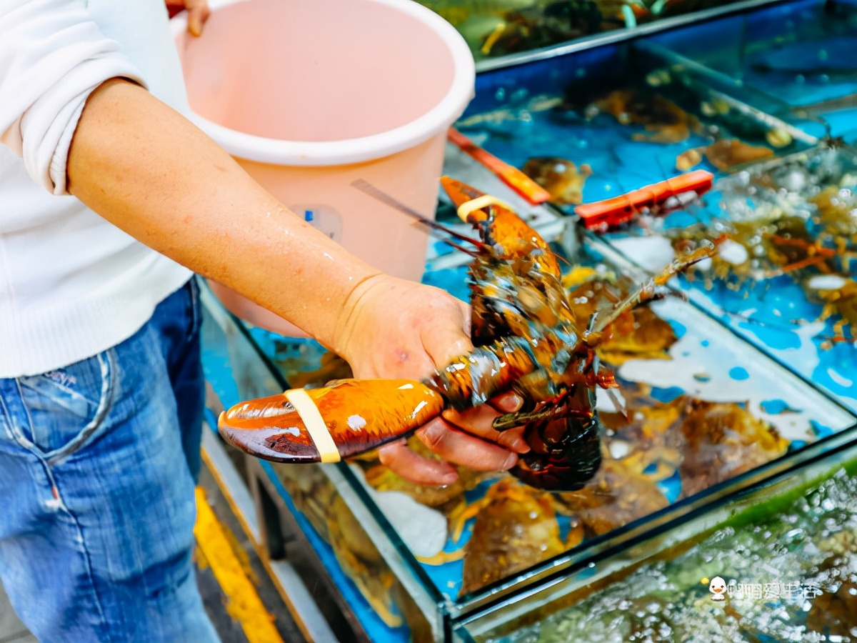厦门最值得吃的海鲜市场是哪里,厦门八市烟火味大排档