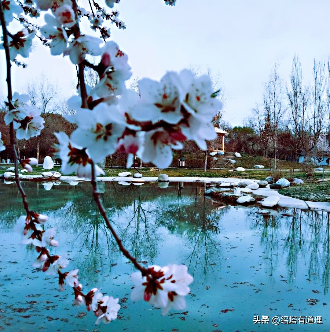 邓弗里斯和劳塔罗国米,劳塔罗邓弗里斯国米