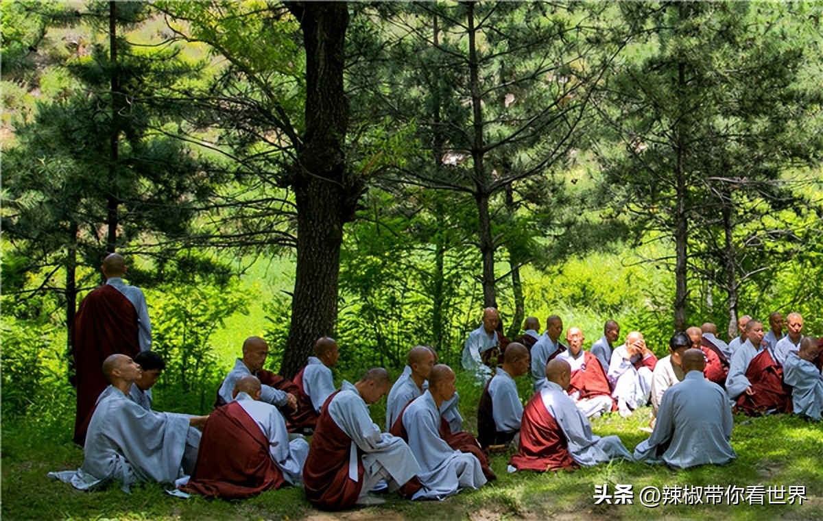忻州一日游五台山雁门关忻州古城,五台山雁门关忻州古城三日游