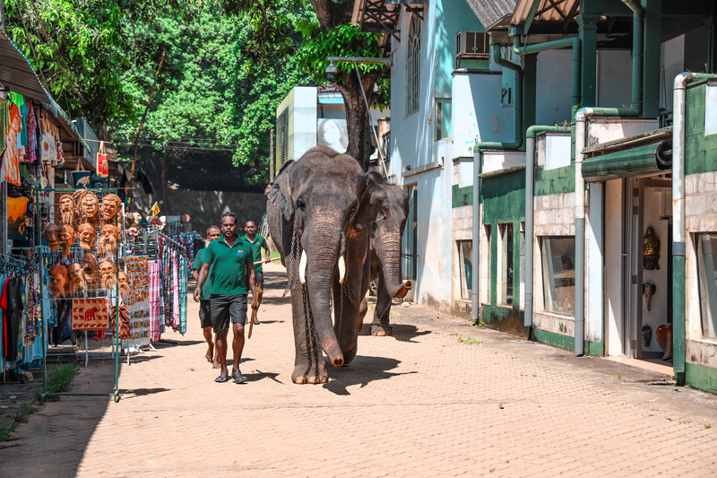 斯里兰卡旅游攻略必去景点,斯里兰卡旅游攻略最佳时间