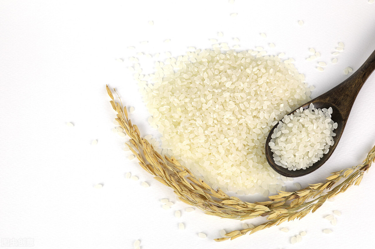 大米没开封生虫了还能吃吗,壹邦小知识