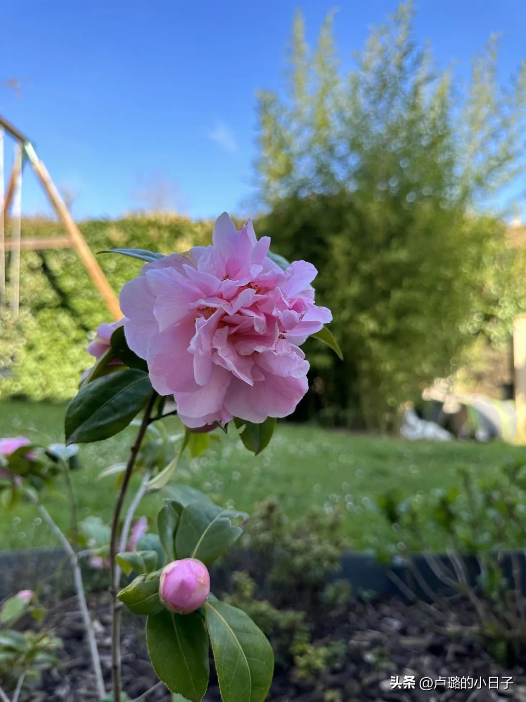 从几百涨到几万衣服品牌,从几百到几千再到几万