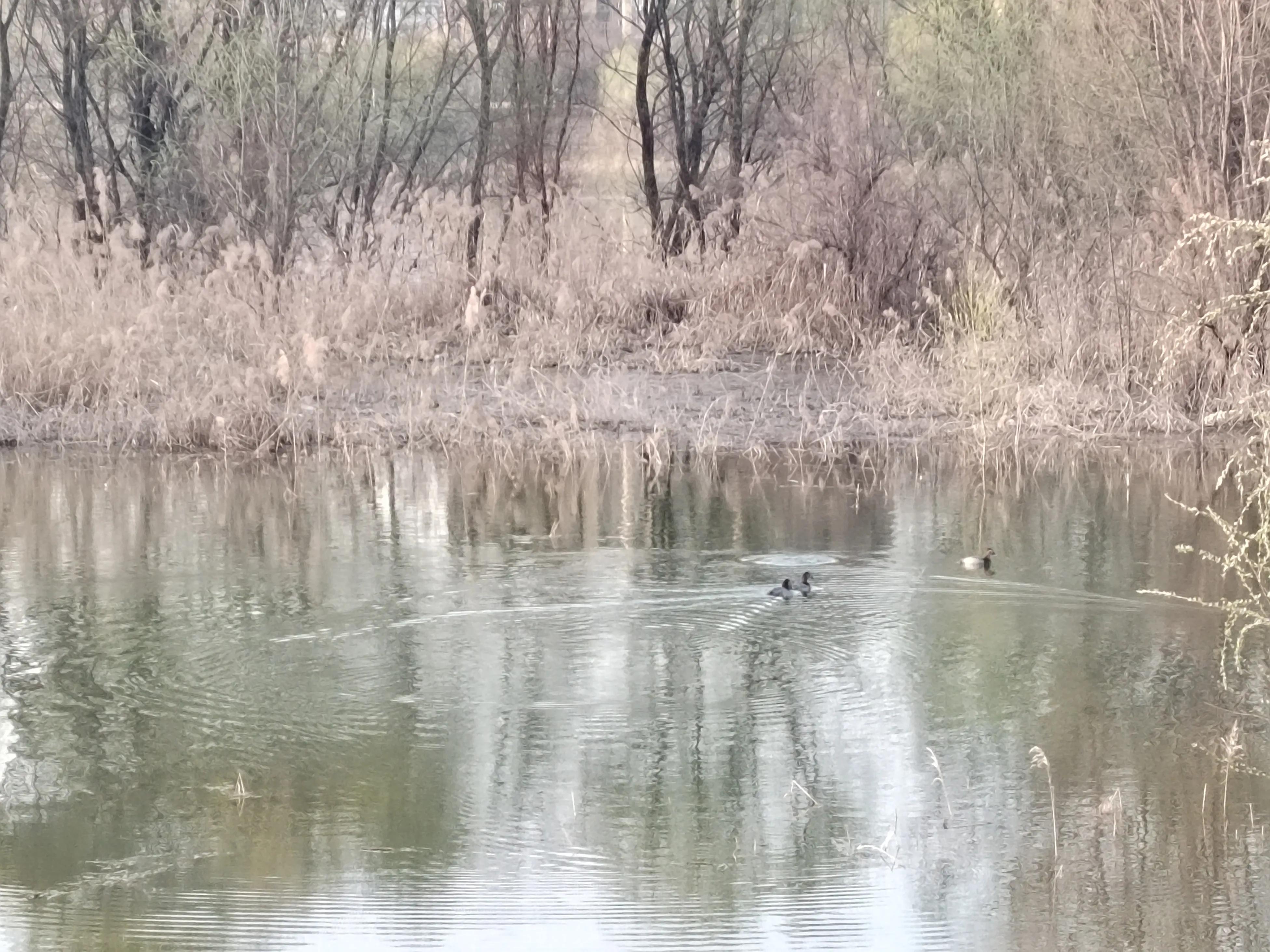 春天来了，美景再现，该踏青和锻炼身体了，为足球比赛储备体力。