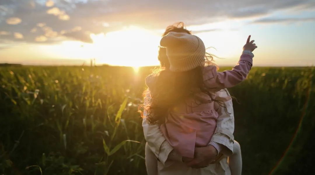 骞曞悗鑻遍泟,鐏靛寳鍒惰嵂鏁板瓧钀ラ攢