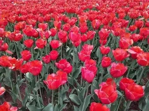 胖的人大便以后怎么擦到屁股呢？如果清洁不好，还会引起疾病