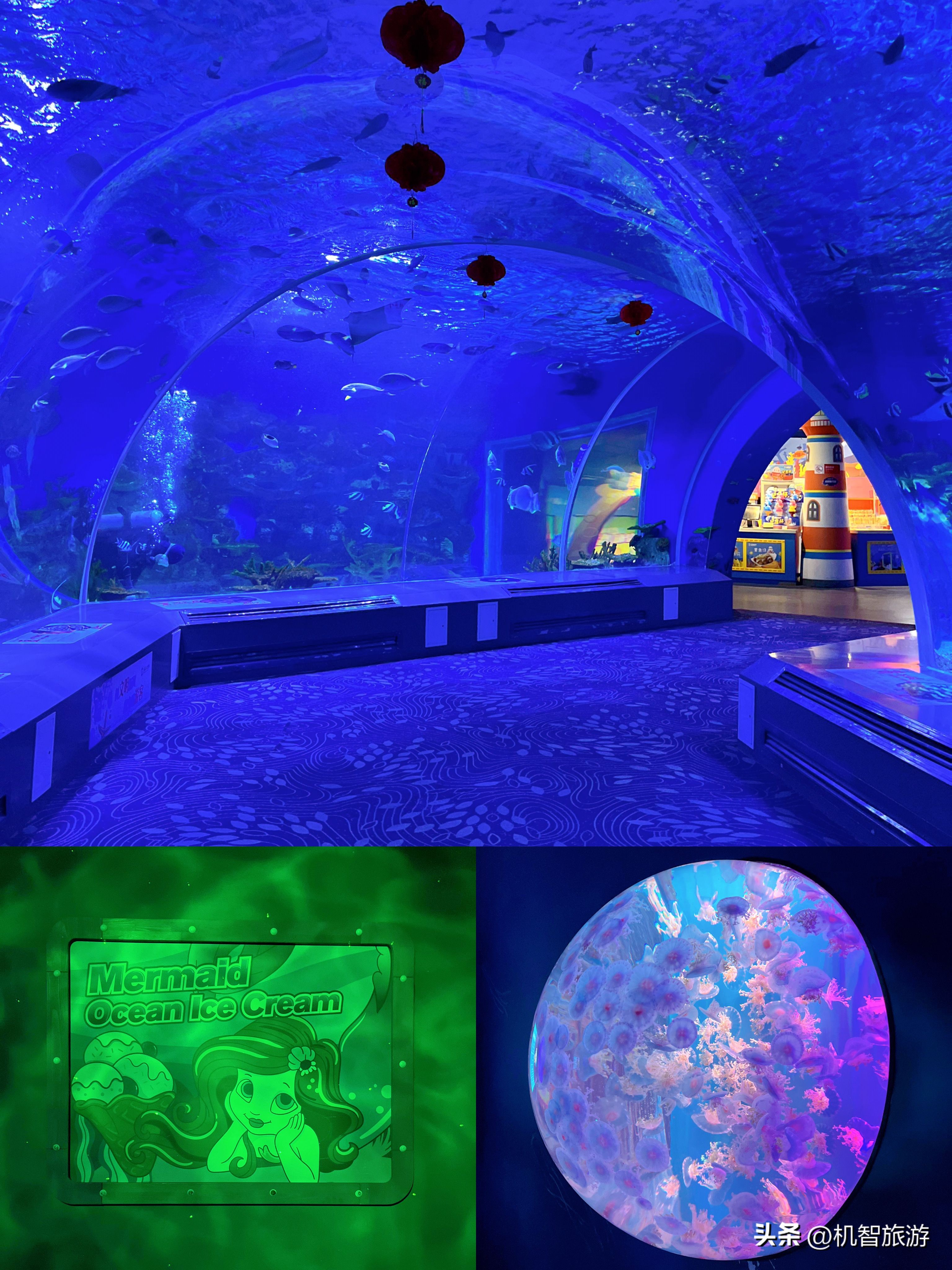 日照私家旅行攻略,日照全家出行