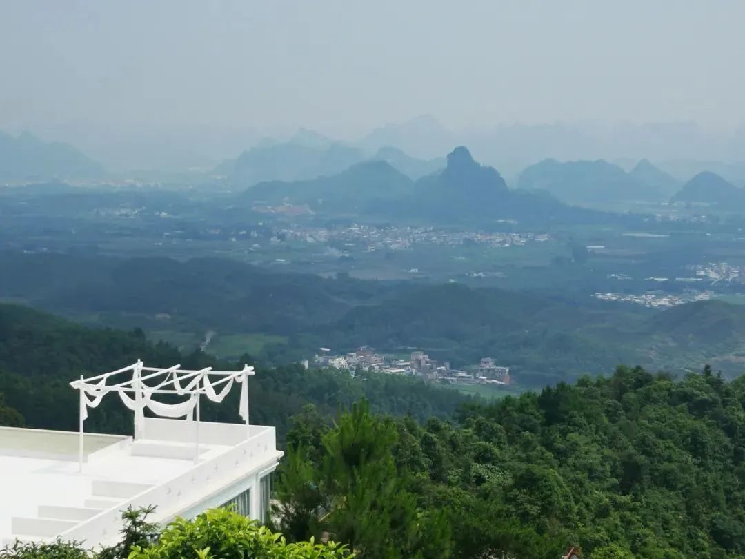 猫咪走太空步原视频最火,猫咪壁虎漫步视频