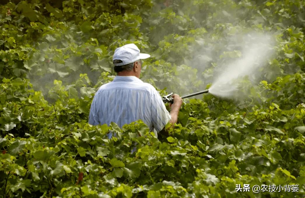 农作物除病害剂,农业害虫防治剂