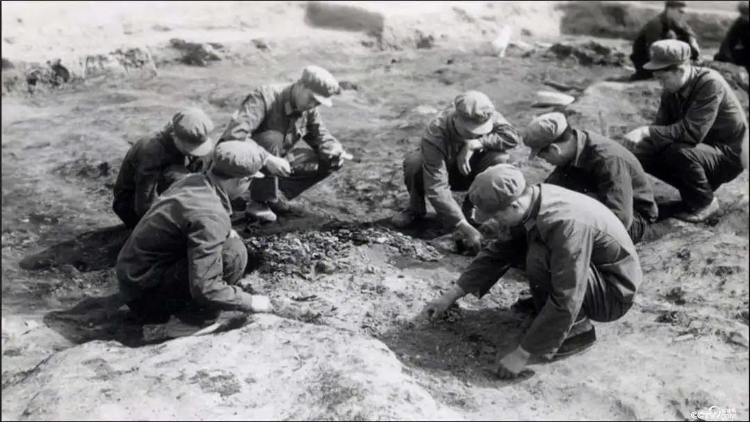 1972年到1974年发现的什么墓,1972年到1974年挖掘的墓