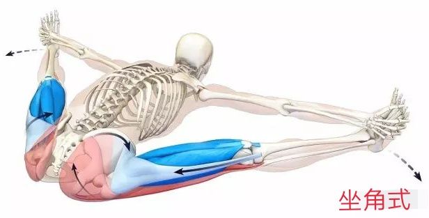 腘绳肌与臀部衔接处怎么练,站立式腘绳肌拉伸动作要领