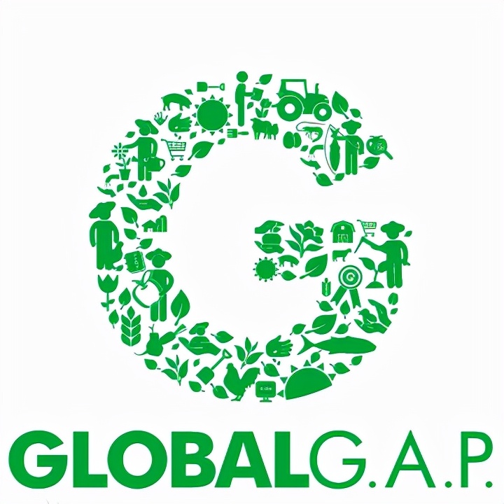 进口水果进得来吗,进口中国水果有哪些