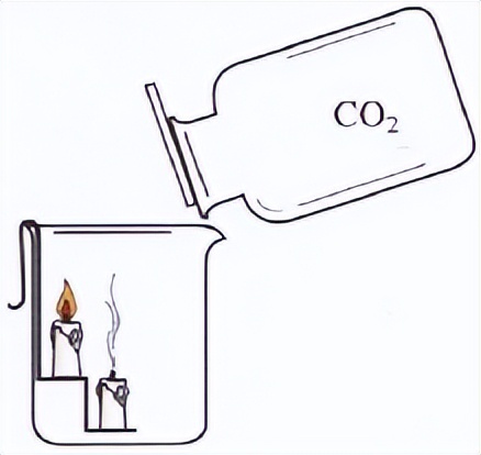 科学知识大全小学生必背,科学知识大全全集