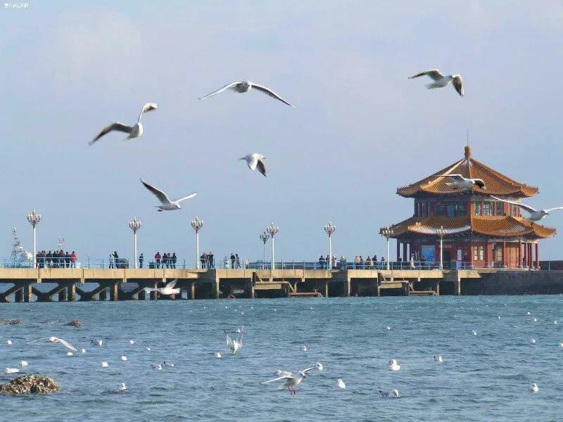 青岛蓝谷别墅80万真假,青岛蓝谷的独栋别墅值不值得买